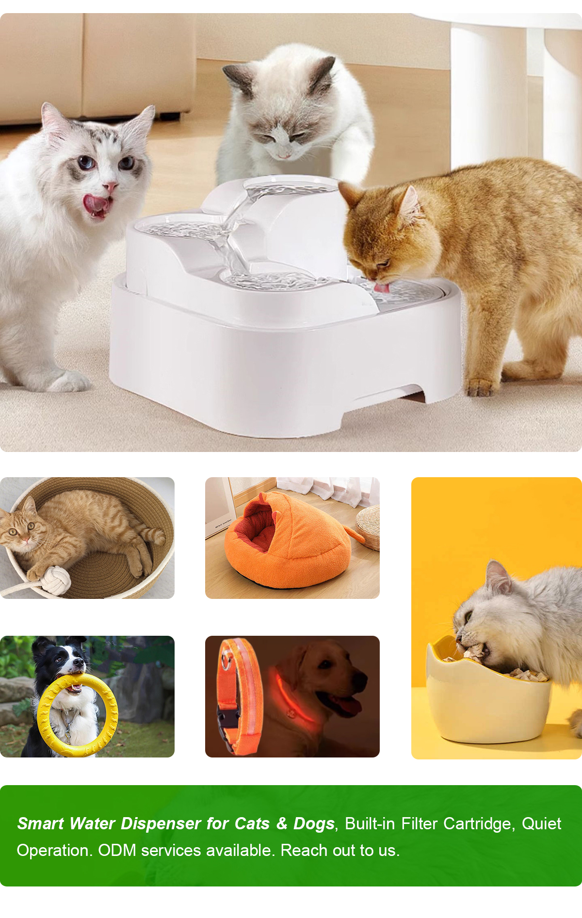 拼图—大宠（猫狗）